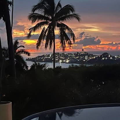 Palm silhouettes against the sunset over Acapulco Bay